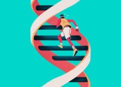 BLOG : GENETICS OF CHARACTER