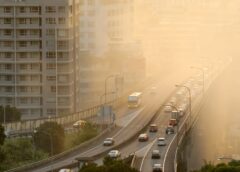 Pollution Affecting Fertility